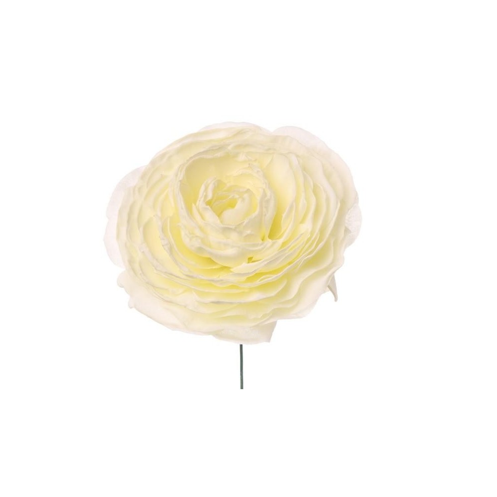 PICK RANUNCOLO WHITE